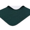 Aurorra Chairpad - Green 2